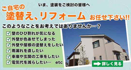 ���v�s���Y�I�[�i�[�l�K���I�O�ǂ̓h��ւ��ŁA���v�s���Y�ɐV�z�̂悤�ȋP�����B