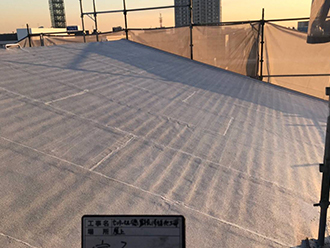 ����}���V�����@�A�X�t�@���g�V���O�����C