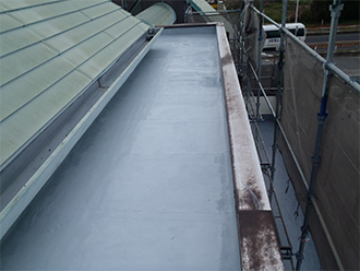 �V�[�g�h�����C ����s�a�@